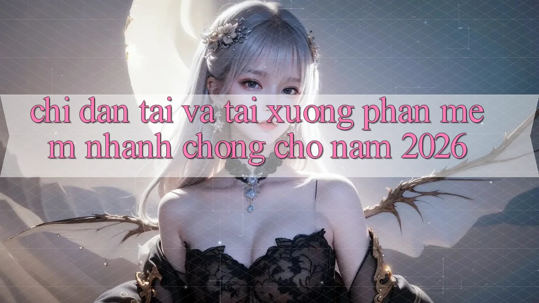 Chỉ dẫn Tải Và Tải xuống Phần mềm Nhanh chóng Cho Năm 2026