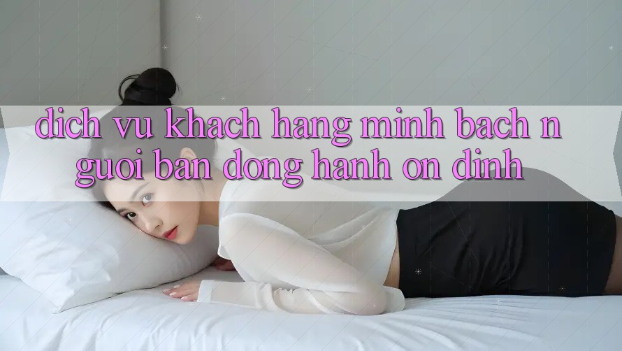 Dịch Vụ Khách Hàng Minh bạch - Người Bạn Đồng Hành Ổn định Dịch Vụ Khách Hàng Minh bạch - Người Bạn Đồng Hành Ổn định