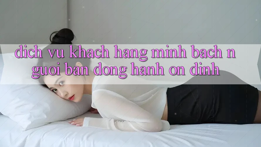 Dịch Vụ Khách Hàng Minh bạch - Người Bạn Đồng Hành Ổn định