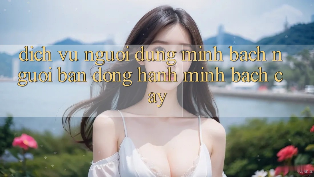 Dịch Vụ Người dùng Minh bạch - Người Bạn Đồng Hành Minh bạch Cậy