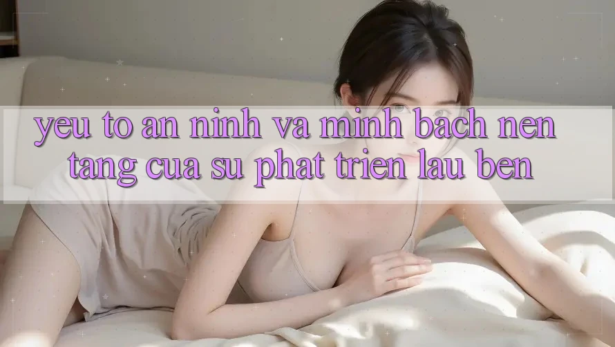 Yếu Tố An ninh Và Minh bạch: Nền Tảng Của Sự Phát Triển Lâu bền Yếu Tố An ninh Và Minh bạch: Nền Tảng Của Sự Phát Triển Lâu bền