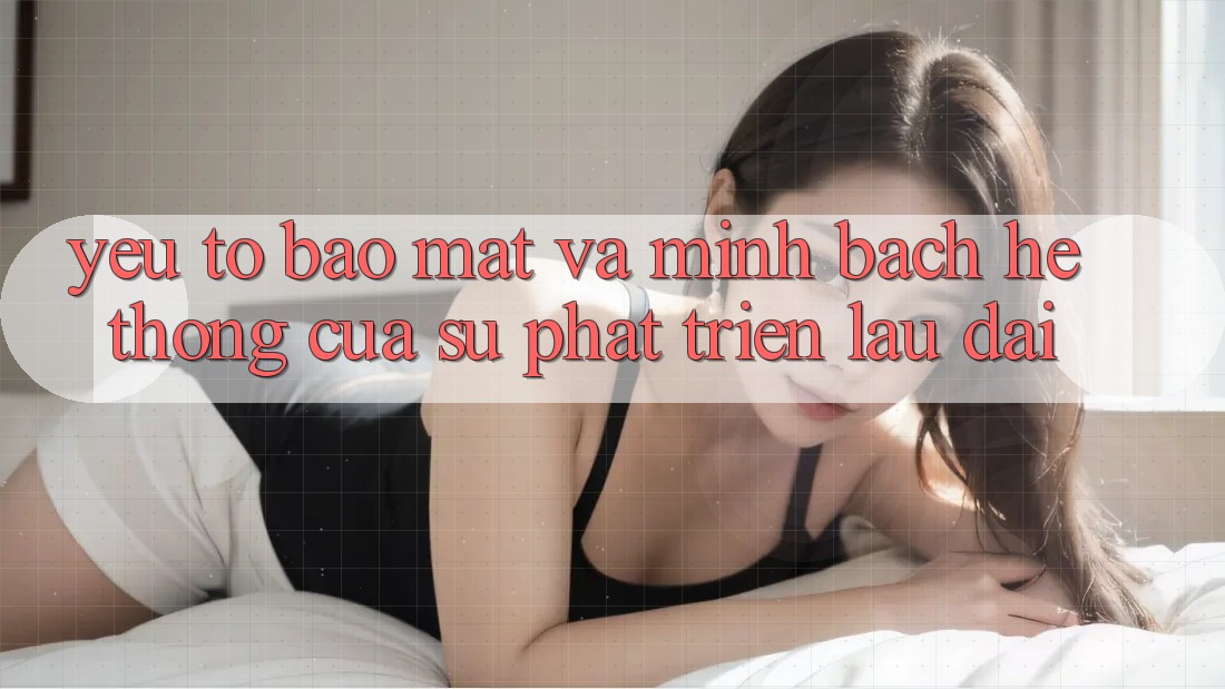 Yếu Tố Bảo Mật Và Minh bạch: Hệ thống Của Sự Phát Triển Lâu dài Yếu Tố Bảo Mật Và Minh bạch: Hệ thống Của Sự Phát Triển Lâu dài