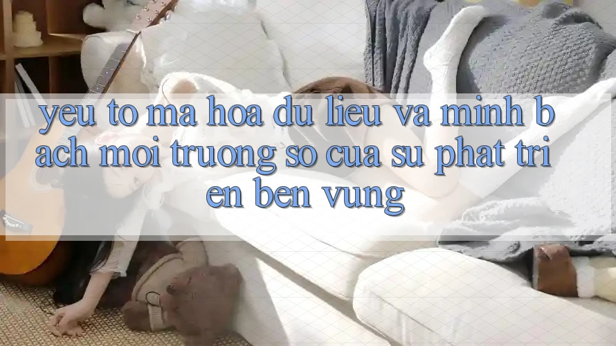 Yếu Tố Mã hóa dữ liệu Và Minh bạch: Môi trường số Của Sự Phát Triển Bền Vững