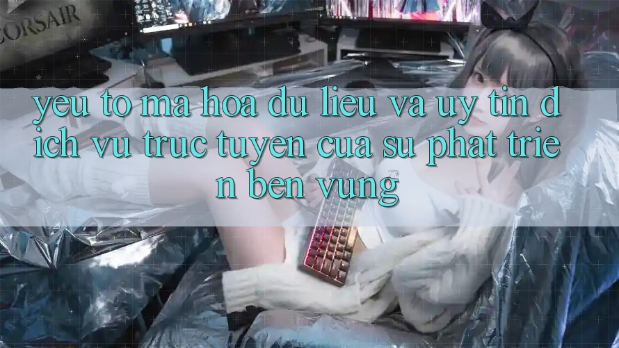 Yếu Tố Mã hóa dữ liệu Và Uy Tín: Dịch vụ trực tuyến Của Sự Phát Triển Bền Vững