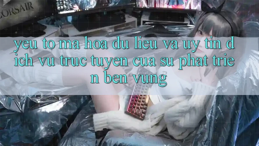 Yếu Tố Mã hóa dữ liệu Và Uy Tín: Dịch vụ trực tuyến Của Sự Phát Triển Bền Vững Yếu Tố Mã hóa dữ liệu Và Uy Tín: Dịch vụ trực tuyến Của Sự Phát Triển Bền Vững