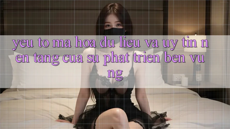 Yếu Tố Mã hóa dữ liệu Và Uy Tín: Nền Tảng Của Sự Phát Triển Bền Vững